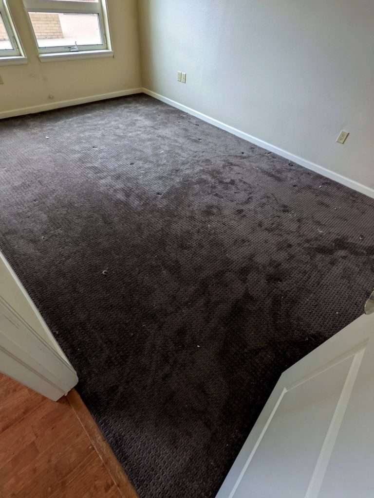 Rug Cleaning Piscataway, NJ