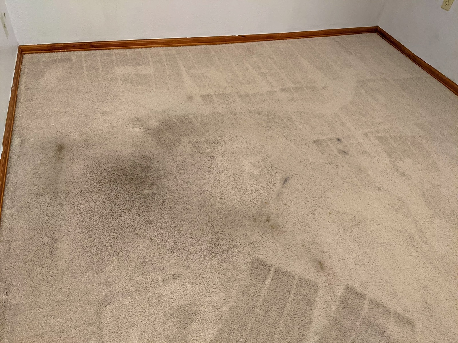 Can I Clean My Dirty Carpet by Myself or Call a Professional?